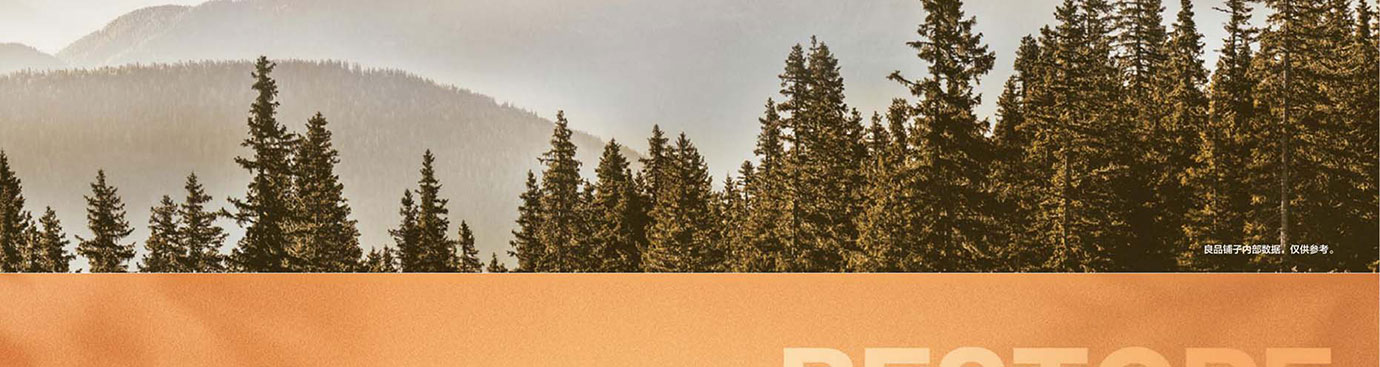 良品铺子干果零食