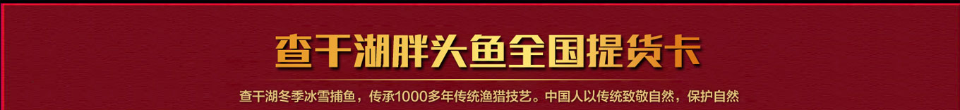 查干湖胖头鱼-介绍