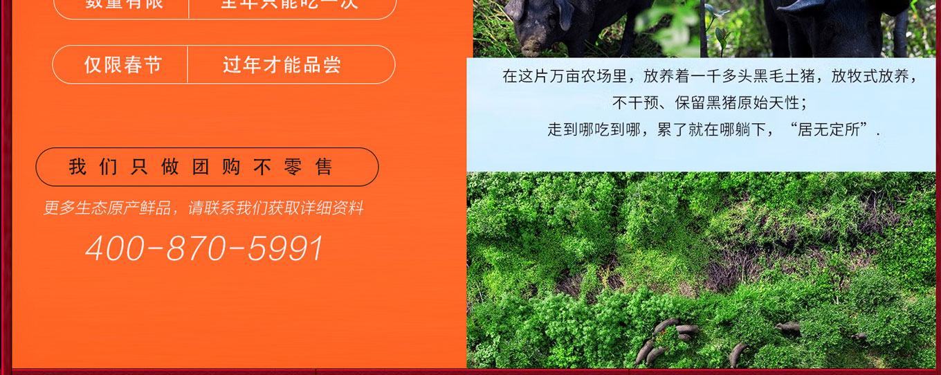 黑猪肉-介绍
